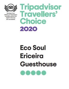 Camile Maia_Prêmios em Liderança Sustentável_Excelência na Qualidade do Serviço_2020_Eco Soul Ericeira_ Tripadvisor Traveller`s Choice.