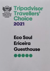 Camile Maia_Prêmios em Liderança Sustentável_Excelência na Qualidade do Serviço_2021_Eco Soul Ericeira_ Tripadvisor Traveller`s Choice.